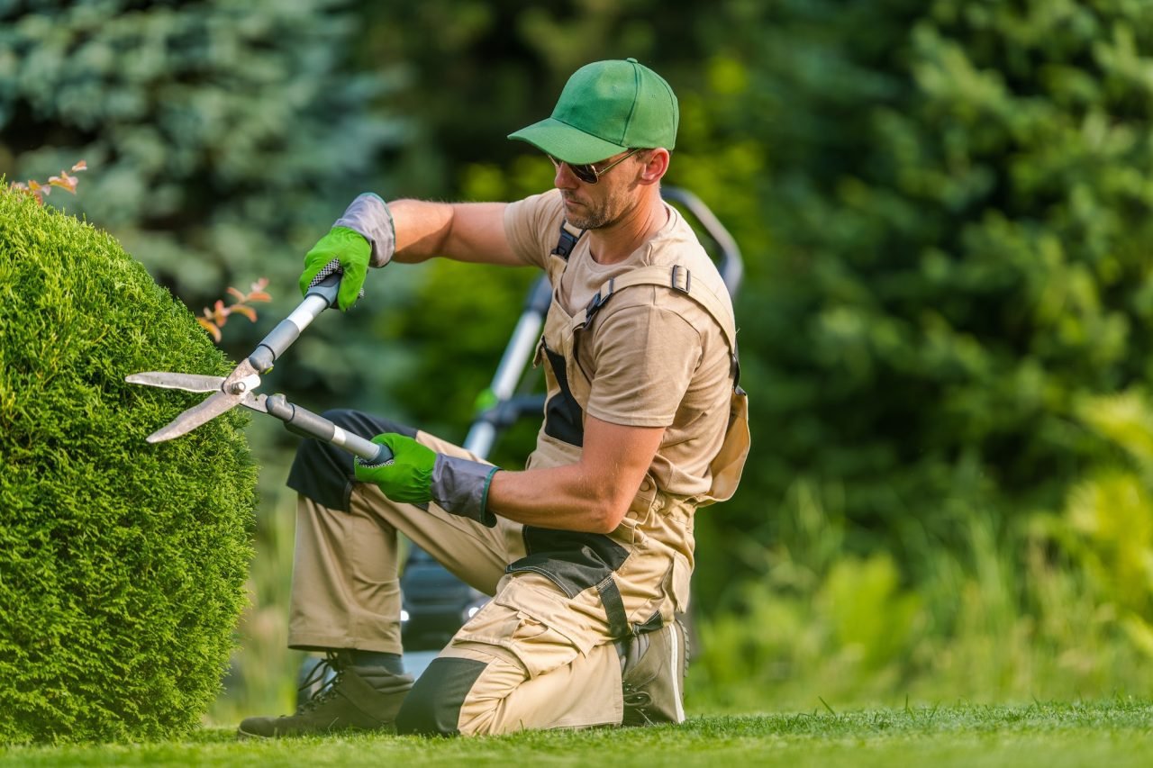 servicio de jardineria